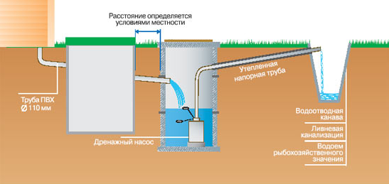 Барьерная роль водопроводных станций в условиях повышенного загрязнения водоисточников